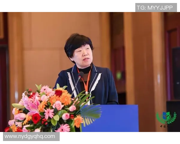 杭州排球队灵活性分析与战术创新的深度探讨