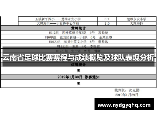 云南省足球比赛赛程与成绩概览及球队表现分析